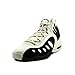 Nike Men's Sonic Flight Basketball Shoe