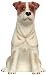 Ceramic Pottery Jack Russell Dog Bank Approx. 7.5"H