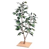 �y�l�H�A���z�~�j�΂�80cm