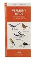 Vermont Birds: An Introduction to Over 140 Species