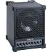 Roland Cube Monitor / PA