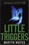 Little Triggers: a novel of crime