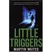Little Triggers: a novel of crime