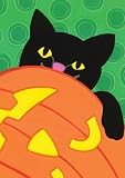 Toland Cat and Jack Halloween Flag