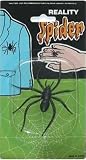 Spider (2in, plastic)