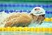 Michael Phelps Poster New!! #21 11X17