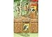 Tropix Ultra 16 oz. Set Of 4 Parrots Tumblers