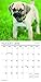 2016 Puppies Mini Calendar