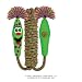 Kooky Klicker Jump Rope Buddy