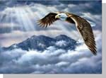 Eagle Spirit - Adler in den Wolken -...