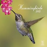 2012 Hummingbirds Wall calendar