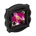 4x4 Vintage Motion Frame - Black