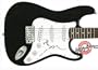 FOO FIGHTERS Pat Smear Autographed Signed Guitar