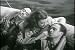 World War II Action Film: Seven Were Saved (1947) A Story of Air Plane Crash Survivors Starring Richard Denning, Catherine Craig, Russell Hayden & Ann Doran Image