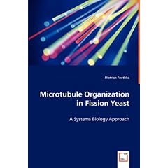 Microtubule Organization in Fission Yeast - A Systems Biology Approach