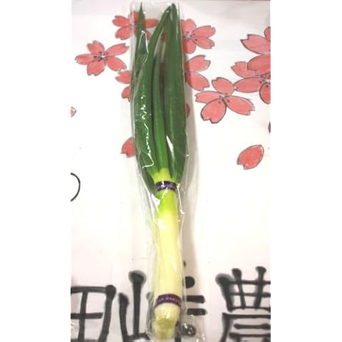 九州産の野菜 長崎県産 長ネギ 直売所販売用
