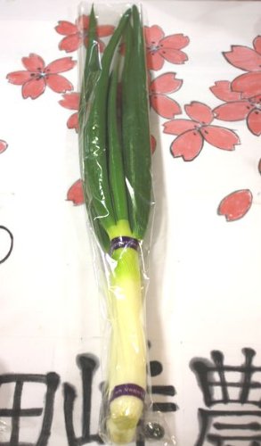 九州産の野菜　長崎県産　長ネギ　直売所販売用