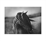 Fierce Grace by Tony Stromberg,30 in. x 26.9 in.