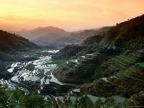 Rice Terraces, Ifugao Province, Luzon, Southern Tagalog, Philippines Art Photographic Poster Print by John Elk III, 16x12