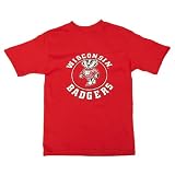 Wisconsin Team Color Youth T-Shirt, Screened (Red)