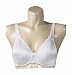  : Breezies Seamless Bra with Patented Ultimair Lining RETAIL VALUE $29 As Seen on Tv Shopping Channel