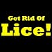 How To Get Rid Of Lice: Discover How To Get Rid Of Head Lice, Useful Home Remedies For Lice And Which Lice Treatment You Should Choose For Getting Rid Of Lice!