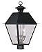 Livex Lighting 2169-04 Mansfield 3-Light Outdoor Post Head, Black