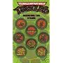 TMNT Teenage Mutant Ninja Turtles Collectible POGS POG Game Milkcap Set - Series 1