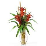 New Nearly Natural Triple Bromeliad Liquid Illusion Orange/Red/American Beauty/Orange/Peach/Assorted