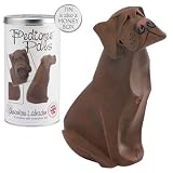 My Pedigree Pals Figurine in Money Box Tin - Chocolate Labrador