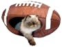 HomeTeam Pets Football Bed