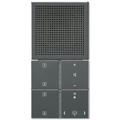 Jung Radio R AN AL 2914 AN