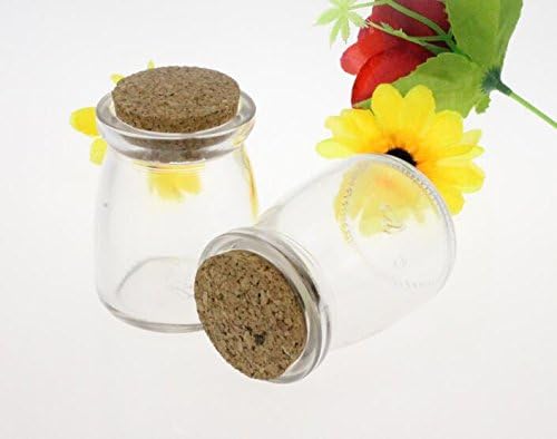 Double Pack Mini Glasses Message Bottles Storage Jars Containers with Cork Stoppers, Unique Home Decor, Wedding Party Favors