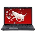 Toshiba Satellite 16.0" Notebook Computer - Black (A505-S6981)