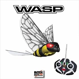 iFly RC Wasp Indoor Outdoor Remote Control Flying Insec by iFly