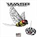 iFly RC Wasp Indoor/Outdoor Remote Control Flying Insec