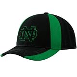 Zephyr Notre Dame Fighting Irish Black Trainer Fitted Hat