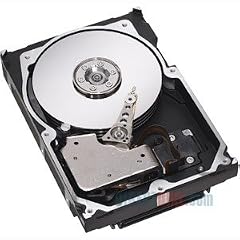 IBM 73GB 15K Hot Swap SAS