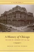 A History of Chicago, Volume III: The Rise of a Modern City, 1871-1893 (History of Chicago)
