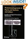 Photomorphogenesis in Plants and Bacteria: Function and Signal Transduction Mechanisms