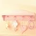 jane 36 wall shelf pink