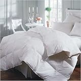 Astra Innofil Cotton Comforter in White Size: 25" x 39"