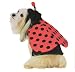 Ladybug Dress Up Dog Halloween Costume Size Extra Small 9