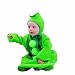 Sweet Pea Buntings Newborn Costume