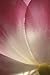 cover image for 9781932195149