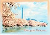 Washington DC Postcard - Blossoms, Washington D.C. Postcards, D.C. Souvenirs