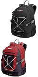 Caribee Cisco Travel Daypack