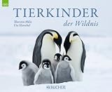 Produkt-Bild: Tierkinder der Wildnis