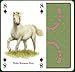Horses & Ponies Playing Cards