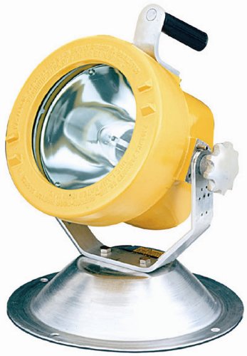 Phoenix Explosion Proof Floodlight Thermoset 150W 250W
